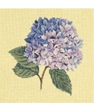 Elizabeth Bradley, Blooms, HYDRANGEA - 16x16 pollici Elizabeth Bradley - 10