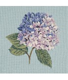 Elizabeth Bradley, Blooms, HYDRANGEA - 16x16 pollici Elizabeth Bradley - 14