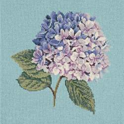 Elizabeth Bradley, Blooms, HYDRANGEA - 16x16 pollici Elizabeth Bradley - 15