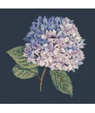 Elizabeth Bradley, Blooms, HYDRANGEA - 16x16 pollici Elizabeth Bradley - 16