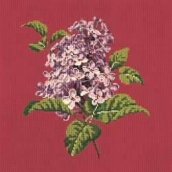 Elizabeth Bradley, Blooms, LILIAC - 16x16 pollici Elizabeth Bradley - 4