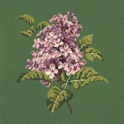 Elizabeth Bradley, Blooms, LILIAC - 16x16 pollici Elizabeth Bradley - 6