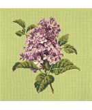 Elizabeth Bradley, Blooms, LILIAC - 16x16 pollici Elizabeth Bradley - 8