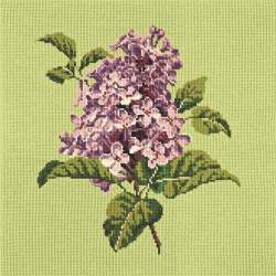 Elizabeth Bradley, Blooms, LILIAC - 16x16 pollici Elizabeth Bradley - 8