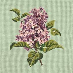 Elizabeth Bradley, Blooms, LILIAC - 16x16 pollici Elizabeth Bradley - 9