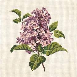 Elizabeth Bradley, Blooms, LILIAC - 16x16 pollici Elizabeth Bradley - 12