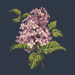 Elizabeth Bradley, Blooms, LILIAC - 16x16 pollici Elizabeth Bradley - 16