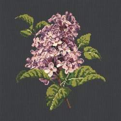 Elizabeth Bradley, Blooms, LILIAC - 16x16 pollici Elizabeth Bradley - 18