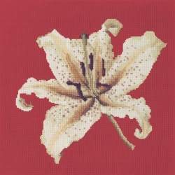 Elizabeth Bradley, Blooms, ORIENTAL LILY - 16x16 pollici Elizabeth Bradley - 4