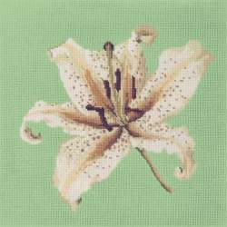 Elizabeth Bradley, Blooms, ORIENTAL LILY - 16x16 pollici Elizabeth Bradley - 7