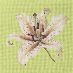 Elizabeth Bradley, Blooms, ORIENTAL LILY - 16x16 pollici Elizabeth Bradley - 8