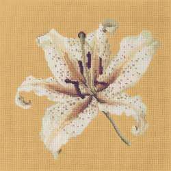 Elizabeth Bradley, Blooms, ORIENTAL LILY - 16x16 pollici Elizabeth Bradley - 13