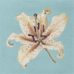 Elizabeth Bradley, Blooms, ORIENTAL LILY - 16x16 pollici Elizabeth Bradley - 15