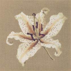 Elizabeth Bradley, Blooms, ORIENTAL LILY - 16x16 pollici Elizabeth Bradley - 17