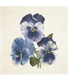 Elizabeth Bradley, Blooms, PANSIES - 16x16 pollici Elizabeth Bradley - 13