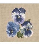 Elizabeth Bradley, Blooms, PANSIES - 16x16 pollici Elizabeth Bradley - 18