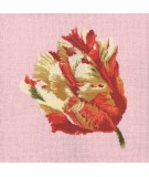 Elizabeth Bradley, Blooms, PARROT TULIP - 16x16 pollici Elizabeth Bradley - 2