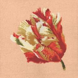 Elizabeth Bradley, Blooms, PARROT TULIP - 16x16 pollici Elizabeth Bradley - 3