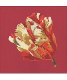 Elizabeth Bradley, Blooms, PARROT TULIP - 16x16 pollici Elizabeth Bradley - 4