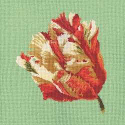 Elizabeth Bradley, Blooms, PARROT TULIP - 16x16 pollici Elizabeth Bradley - 7