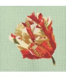 Elizabeth Bradley, Blooms, PARROT TULIP - 16x16 pollici Elizabeth Bradley - 9