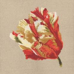 Elizabeth Bradley, Blooms, PARROT TULIP - 16x16 pollici Elizabeth Bradley - 17