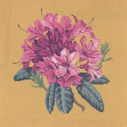 Elizabeth Bradley, Blooms, RHODODENDRON - 16x16 pollici Elizabeth Bradley - 13