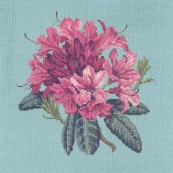 Elizabeth Bradley, Blooms, RHODODENDRON - 16x16 pollici Elizabeth Bradley - 15