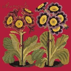 Elizabeth Bradley, Botanical Garden, AURICULA - 16x16 pollici Elizabeth Bradley - 4