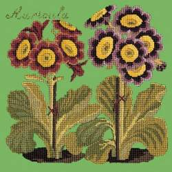 Elizabeth Bradley, Botanical Garden, AURICULA - 16x16 pollici Elizabeth Bradley - 7