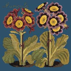 Elizabeth Bradley, Botanical Garden, AURICULA - 16x16 pollici Elizabeth Bradley - 16