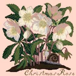 Elizabeth Bradley, Botanical Garden, CHRISTMAS ROSE - 16x16 pollici Elizabeth Bradley - 3