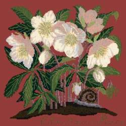 Elizabeth Bradley, Botanical Garden, CHRISTMAS ROSE - 16x16 pollici Elizabeth Bradley - 5