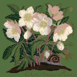 Elizabeth Bradley, Botanical Garden, CHRISTMAS ROSE - 16x16 pollici Elizabeth Bradley - 6