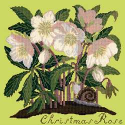 Elizabeth Bradley, Botanical Garden, CHRISTMAS ROSE - 16x16 pollici Elizabeth Bradley - 8