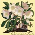 Elizabeth Bradley, Botanical Garden, CHRISTMAS ROSE - 16x16 pollici Elizabeth Bradley - 10