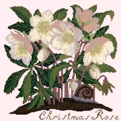 Elizabeth Bradley, Botanical Garden, CHRISTMAS ROSE - 16x16 pollici Elizabeth Bradley - 12