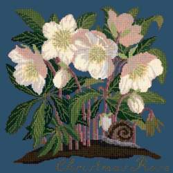 Elizabeth Bradley, Botanical Garden, CHRISTMAS ROSE - 16x16 pollici Elizabeth Bradley - 16