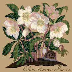 Elizabeth Bradley, Botanical Garden, CHRISTMAS ROSE - 16x16 pollici Elizabeth Bradley - 17