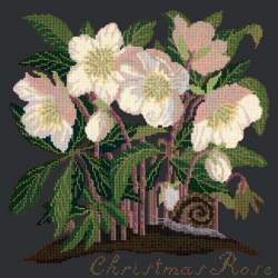 Elizabeth Bradley, Botanical Garden, CHRISTMAS ROSE - 16x16 pollici Elizabeth Bradley - 18