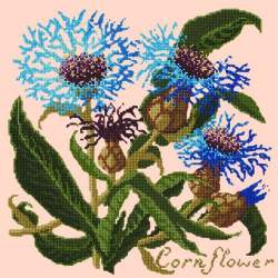 Elizabeth Bradley, Botanical Garden, CORNFLOWER - 16x16 pollici Elizabeth Bradley - 3