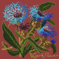 Elizabeth Bradley, Botanical Garden, CORNFLOWER - 16x16 pollici Elizabeth Bradley - 5