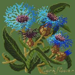 Elizabeth Bradley, Botanical Garden, CORNFLOWER - 16x16 pollici Elizabeth Bradley - 6