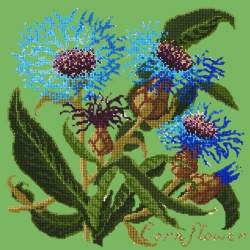 Elizabeth Bradley, Botanical Garden, CORNFLOWER - 16x16 pollici Elizabeth Bradley - 7