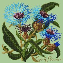 Elizabeth Bradley, Botanical Garden, CORNFLOWER - 16x16 pollici Elizabeth Bradley - 9