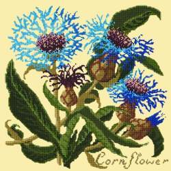 Elizabeth Bradley, Botanical Garden, CORNFLOWER - 16x16 pollici Elizabeth Bradley - 10