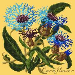 Elizabeth Bradley, Botanical Garden, CORNFLOWER - 16x16 pollici Elizabeth Bradley - 11