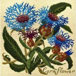 Elizabeth Bradley, Botanical Garden, CORNFLOWER - 16x16 pollici Elizabeth Bradley - 12