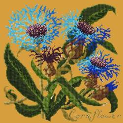 Elizabeth Bradley, Botanical Garden, CORNFLOWER - 16x16 pollici Elizabeth Bradley - 13