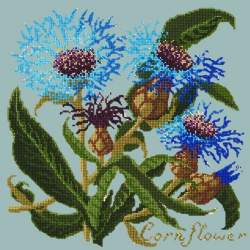 Elizabeth Bradley, Botanical Garden, CORNFLOWER - 16x16 pollici Elizabeth Bradley - 14